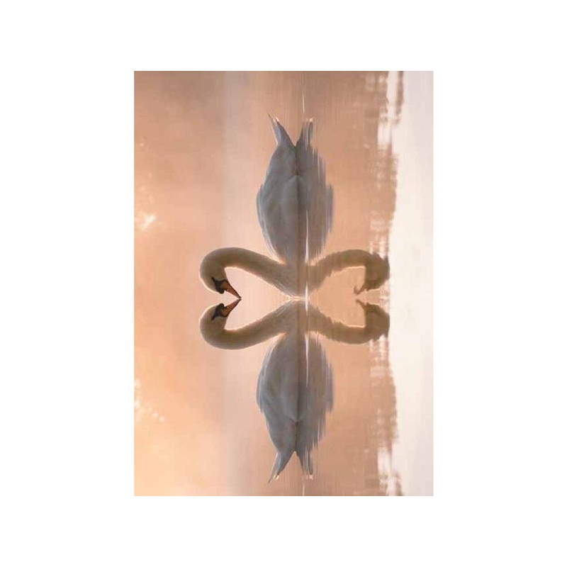 Paquet de cartes de vœux d'animaux vierges de 10 pièces avec enveloppe