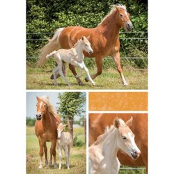 Paquet de cartes de vœux d'animaux vierges de 10 pièces avec enveloppe