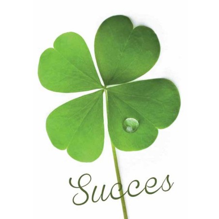 Wenskaarten veel geluk/succes pakje a 10 stuks met envelop