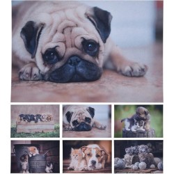 Deurmat 58X38Cmmet afbeelding huisdieren 6 assorti dessins