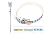Kattenhalsband met belletje 30cm