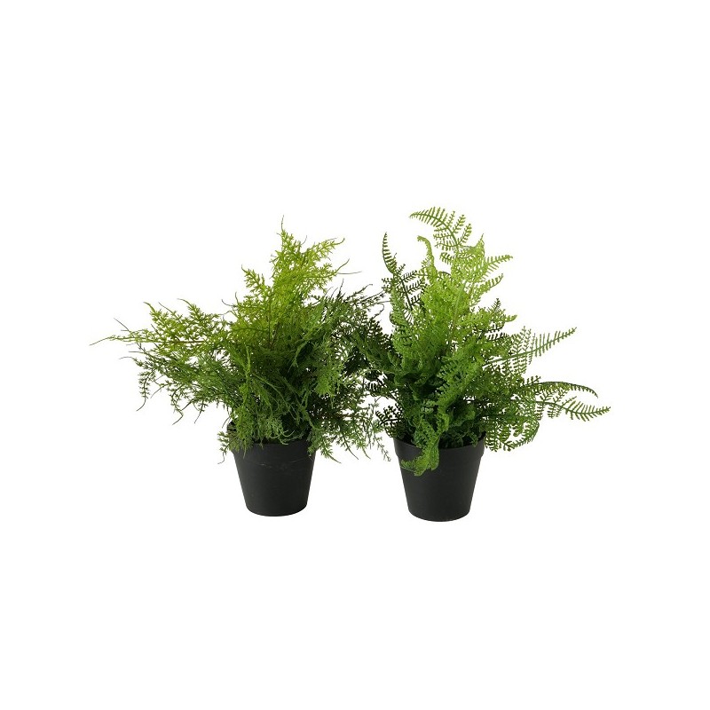 Boltze Home Kunstplant varen in kunststof zwarte pot- H35cm Dia 30cm