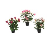 Decoris Plante en plastique Fuchsia en pot en plastique noir L30-L30-H30cm disponible en violet, rose ou blanc