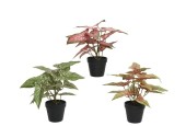 Decoris Plant polyester in kunststof pot  L35-W35-H37cm- verkrijgbaar in 3 verschillende kleuren