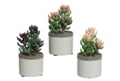 Decoris Plante succulente artificielle en pot céramique L7,5-L7,5-H14cm- disponible en 3 coloris différents