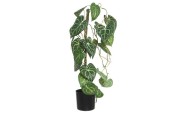 Decoris Plante grimpante artificielle en polyester dans un pot en plastique noir L28-W23-H66cm