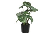 Decoris kunstplant Anthurium Clarinervium in zwarte pot L33-W31-H41cm