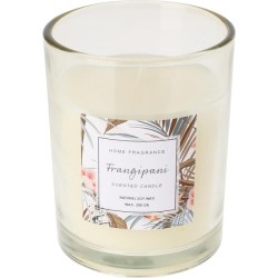 Bougie parfumée en verre en cire de soja naturelle 200 grammes en 3 parfums