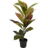 Kunstplant calathea in kunststof pot 65cm