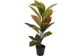 Plante artificielle calathea en pot plastique 65cm