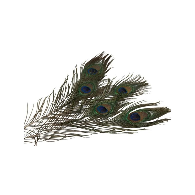 HBX natural living Basic pauwenveer L30-35cm 3 stuks in verpakking