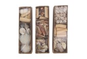 Dijk Natural Collections Schelpen in tray 28x8x8cm
