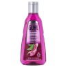 Guhl Shampooing Contrôle Des Frisottis Et Résilience 250ml