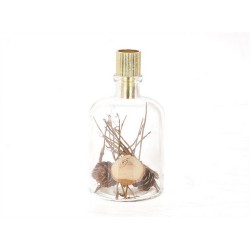 HBX natural living Kandelaar Pokael fles glas gevuld met winterdecoratie Ø7,6xh15,2cm