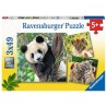 Ravensburger Puzzle Panda, tigre et lion 3x49 pièces