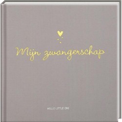 Bonjour Petit, livre à remplir - Ma grossesse