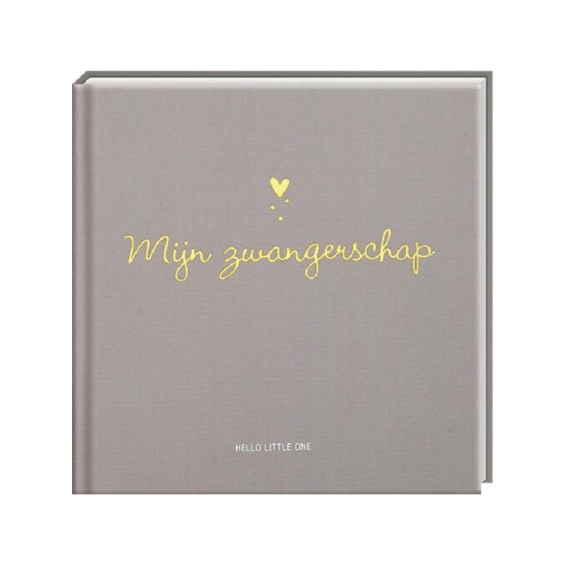 Bonjour Petit, livre à remplir - Ma grossesse