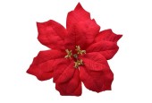 Decoris Poinsettia étoile de Noël velours sur clip Dia 16cm