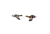 Aimant canard volant 7,5x5cm