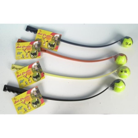 Ballenwerper voor hond