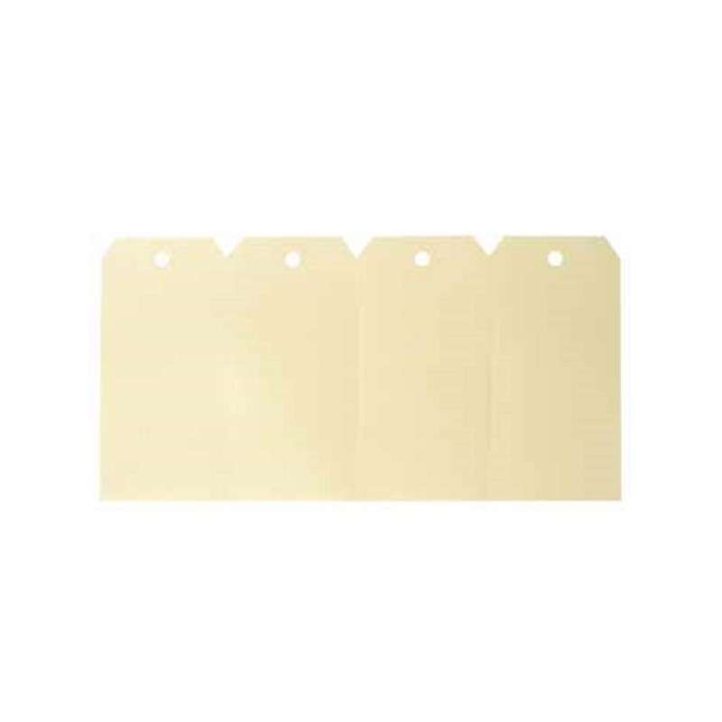 Agipa etiketten 51x100mm 1000st