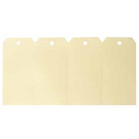 Agipa etiketten 51x100mm 1000st