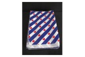 Vlakke Zakjes Friesland 17x25 200st
