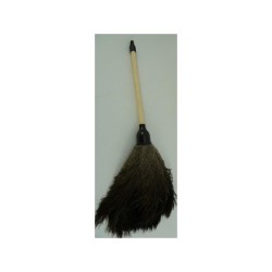 Plumeau d'autruche PLHB1