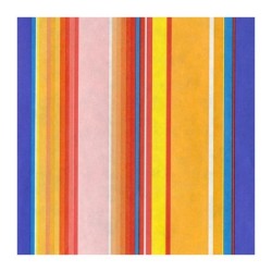 Compteur rouleau 50cm rayé 250m