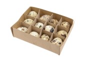Oeufs de caille naturels 12x10x3cm 12 pièces en boîte