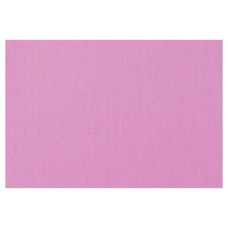 Carton photo 50x70 cm 270 gr 10 feuilles Lilas