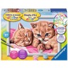Ravensburger Peinture par numéros Cuddle Friends