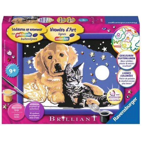 Ravensburger Peinture par numéros Beau ciel étoilé