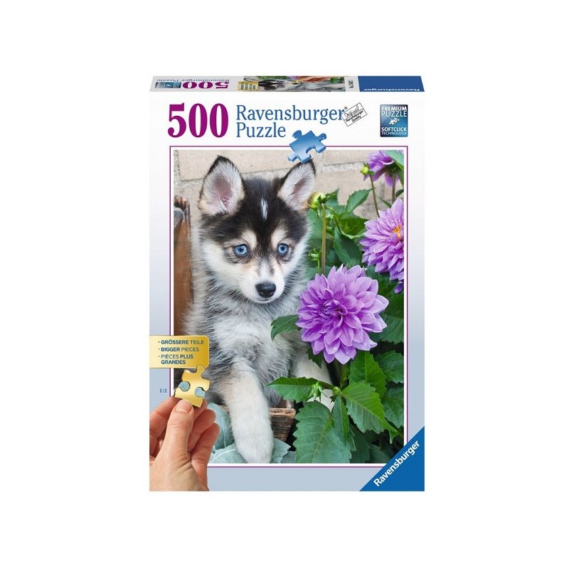 Ravensburger puzzel 500 grote puzzelstukken Schattige Husky,Leeftijd: vanaf 14 jaar
Afmeting: 46x61 cm