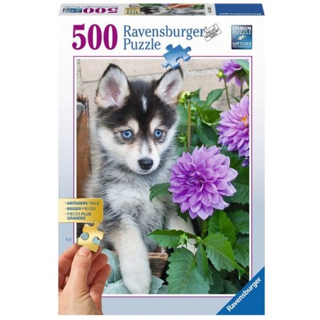 Ravensburger puzzel 500 grote puzzelstukken Schattige Husky,Leeftijd: vanaf 14 jaar
Afmeting: 46x61 cm