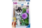 Ravensburger puzzel 500 grote puzzelstukken Schattige Husky,Leeftijd: vanaf 14 jaar
Afmeting: 46x61 cm