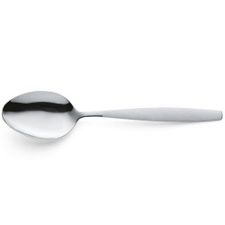 Cuillères à légumes Amefa 2pcs dans la boîte C&C 2374 Amsterdam