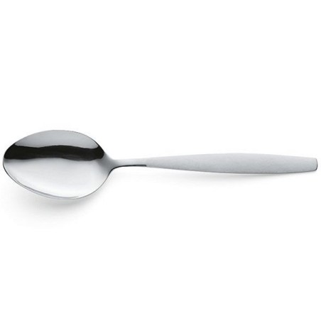 Cuillères à légumes Amefa 2pcs dans la boîte C&C 2374 Amsterdam