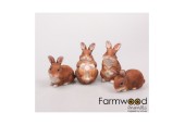 Farmwood Animals Statues de jardin Lapins en polystone 10x6x11 cm ensemble de 4 pièces