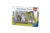 Ravensburger Puzzle Chatons, 3x49 pièces