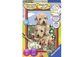 Ravensburger Schilderen op nummer Knuffelende puppies