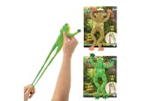 Toi Toys Grenouille réaliste sur carte