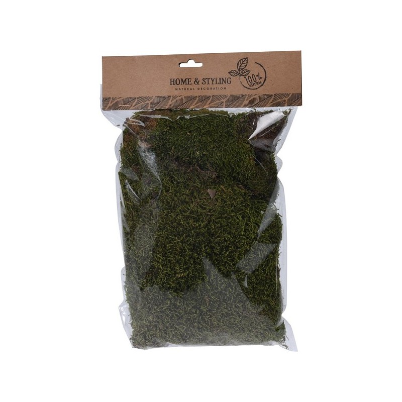 Mousse plate naturelle 100 grammes