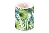 Bougie Ambiente Grandes Feuilles Tropicales