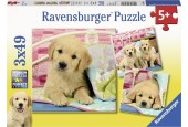 Ravensburger puzzel Schattige hondjes 3x49pcs