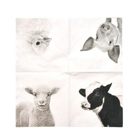 Esschert Design Serviettes animaux de la ferme 25x25cm