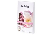 Bolsius Waxmelts True Scents Magnolia 6 pcs