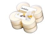 Bolsius Maxilicht geur 8 stuks True Scents Vanille