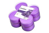 Bolsius Maxilicht geur 8 stuks True Scents Lavendel