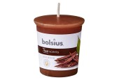 Bolsius Votive 53/45 ronde en bois de Oud 12 pcs